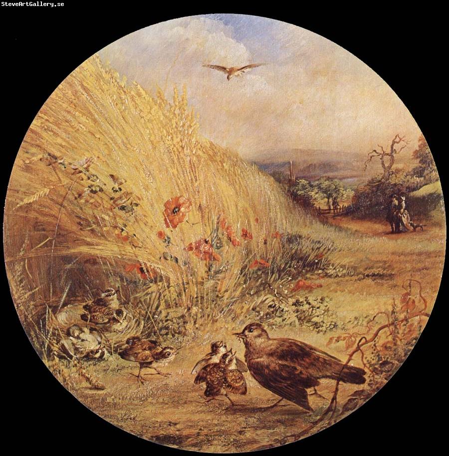 William Dexter Wheatfield with bird-s nest